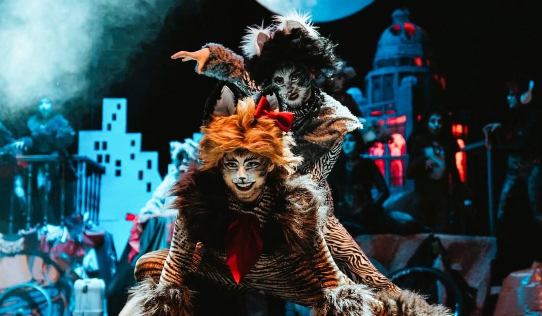 cats-cuenca